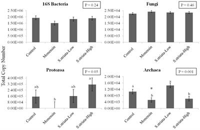 Scrophularia striata Extract Supports Rumen Fermentation and Improves Microbial Diversity in vitro Compared to Monensin